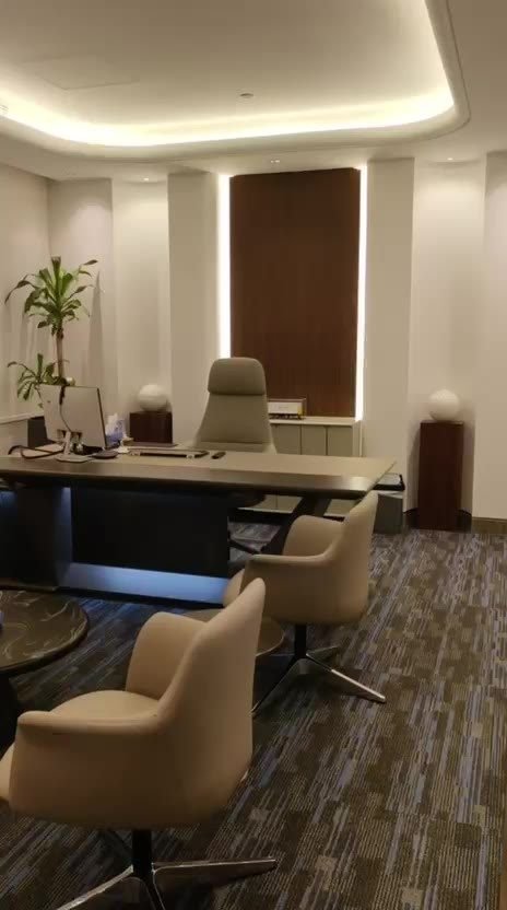 Catrion CEO and MD office walkthrough video